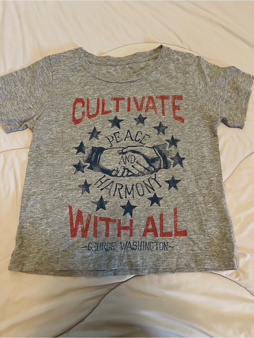 Peek Gray Tee with Red and Navy Graphic - Cultivate With All